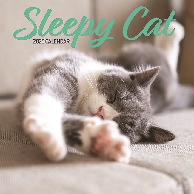 Sleepy Cat Calendar 2025