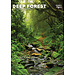 CalendarsRUs Calendario della foresta profonda 2025