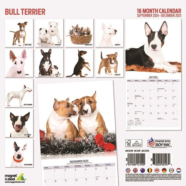 Buy Bull Terrier Calendar 2025 Order easily online Kalenderwinkel.nl