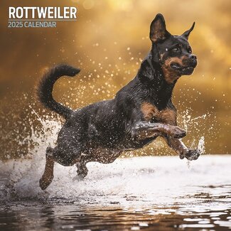 Magnet & Steel Calendario Rottweiler 2025