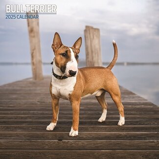 Magnet & Steel Calendario Bull Terrier 2025