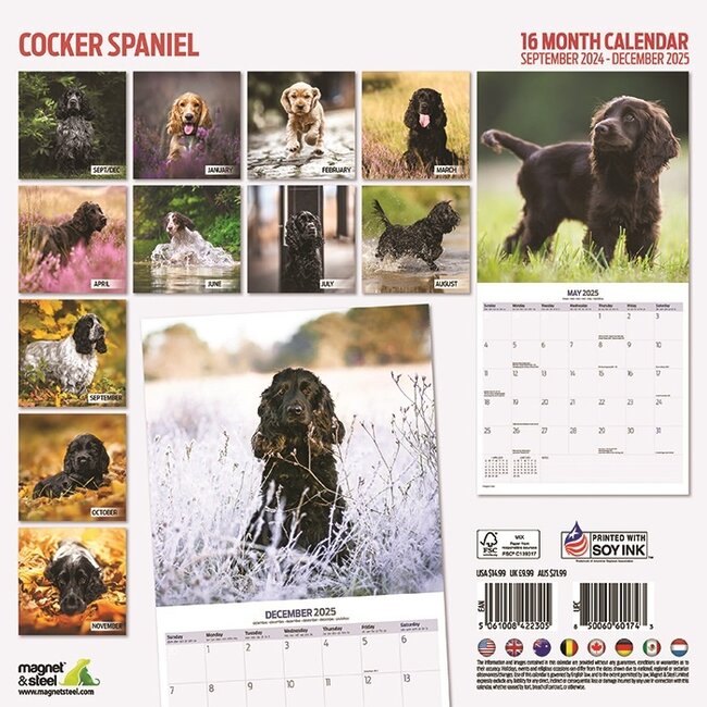 Buy English Cocker Spaniel Calendar 2025 Order easily online