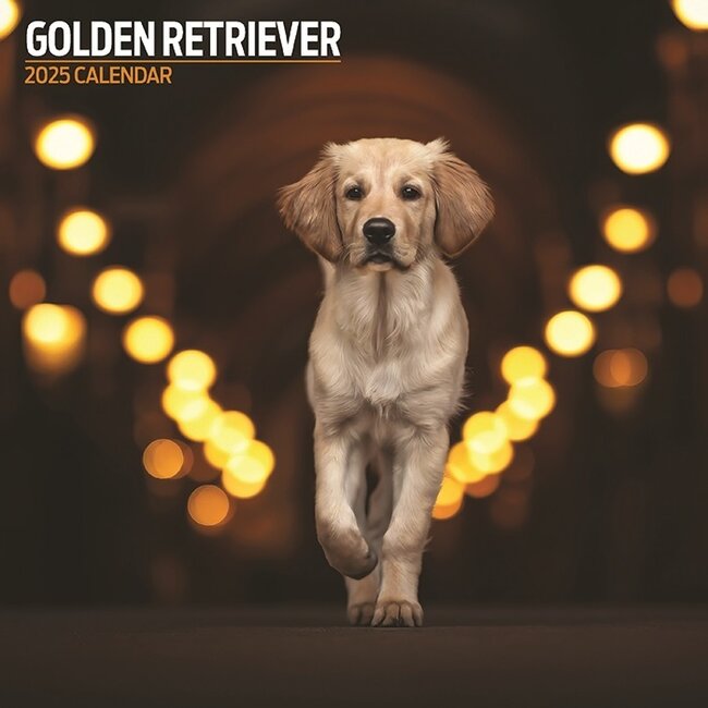 Calendrier Golden Retriever 2025