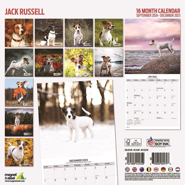 Jack Russell Terrier Calendar 2025 Buy Order easily online