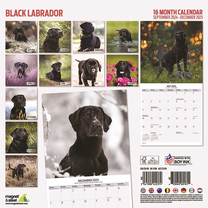 Labrador Retriever Schwarzer Kalender 2025 kaufen  Einfach online 
