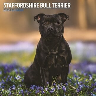 Magnet & Steel Staffordshire Bull Terrier Calendario 2025