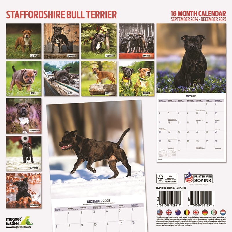 Buy Staffordshire Bull Terrier Calendar 2025? Order easily online