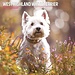 Magnet & Steel Calendrier West Highland White Terrier 2025