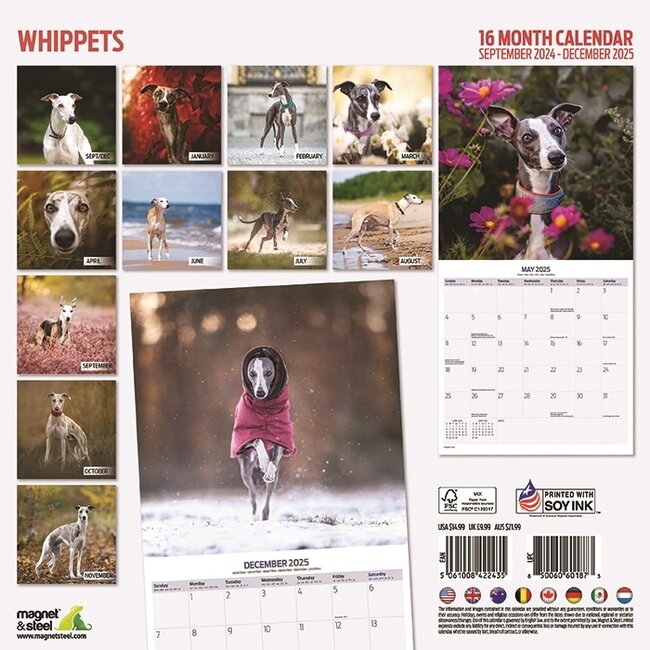Buying Whippet Calendar 2025 simply order online Kalenderwinkel.nl