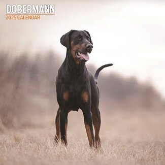 Magnet & Steel Calendario Dobermann 2025