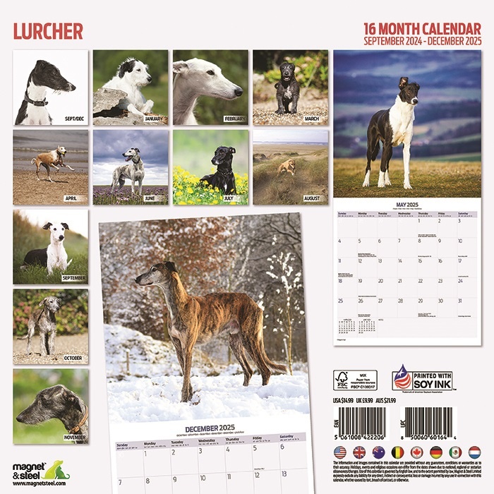 Lurcher Kalender 2025 Kopen? Bestel eenvoudig Online Kalenderwinkel.nl