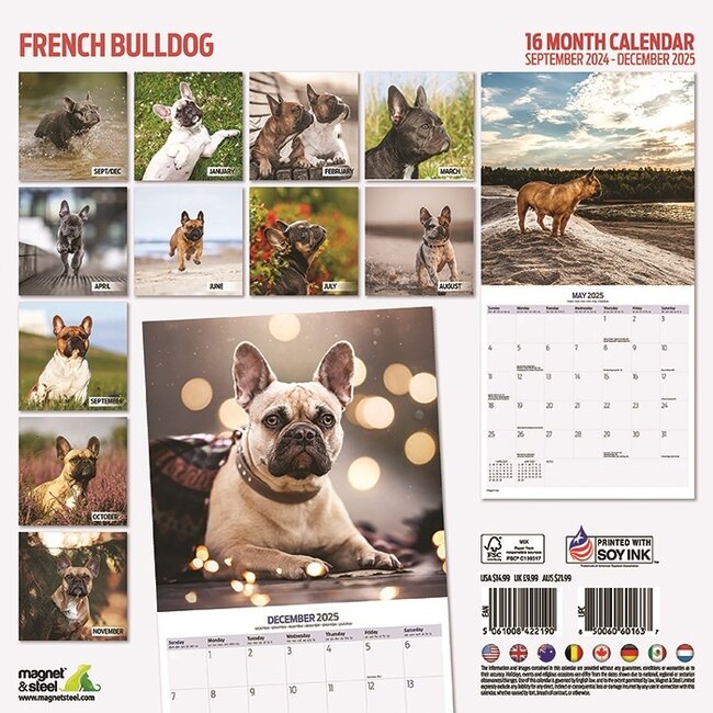 Franse Bulldog Kalender 2025 Kopen? Bestel eenvoudig Online Kalenderwinkel.nl