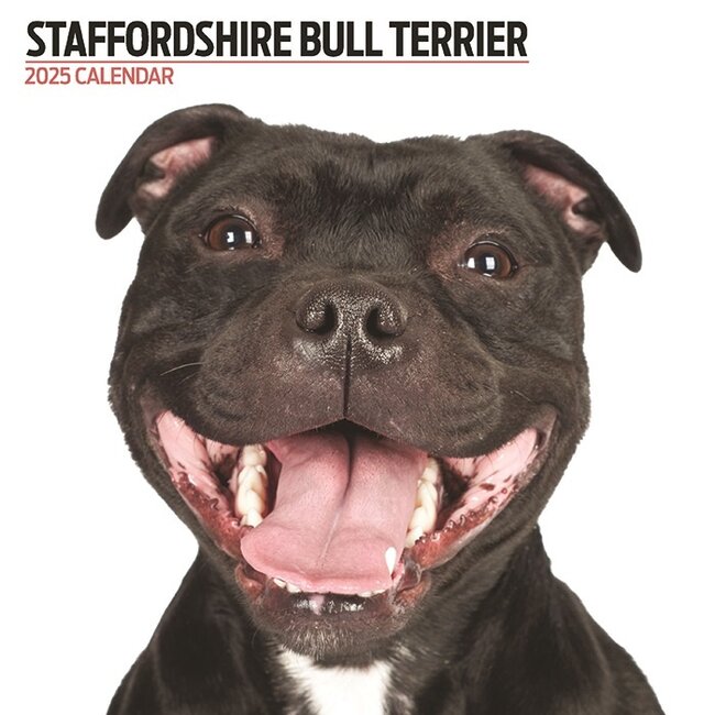 Staffordshire Bull Terrier Calendar 2025 Modern