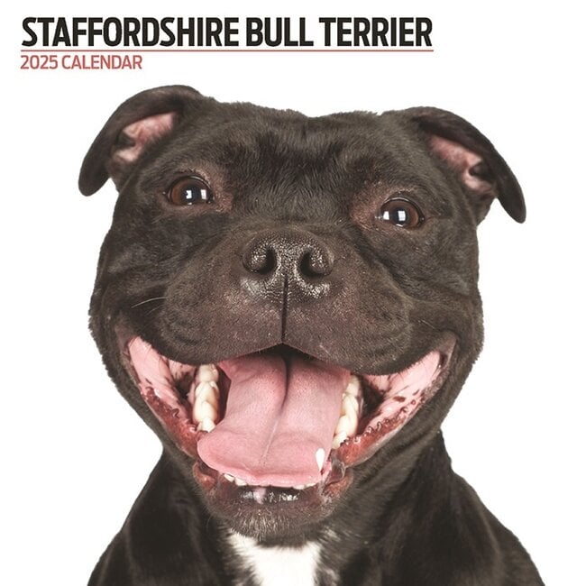 Staffordshire Bull Terrier Calendrier 2025 Moderne
