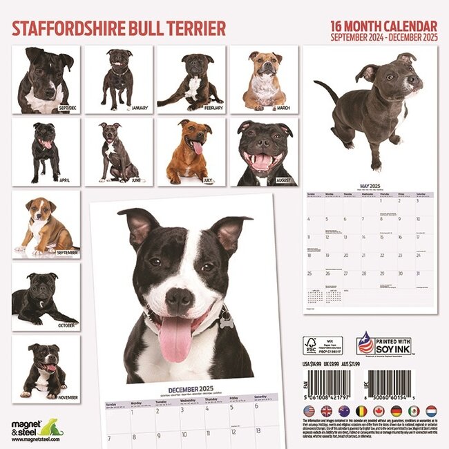 Staffordshire Bull Terrier Calendario 2025 Modern Comprar English Bull Terrier Calendar 2025 Uk