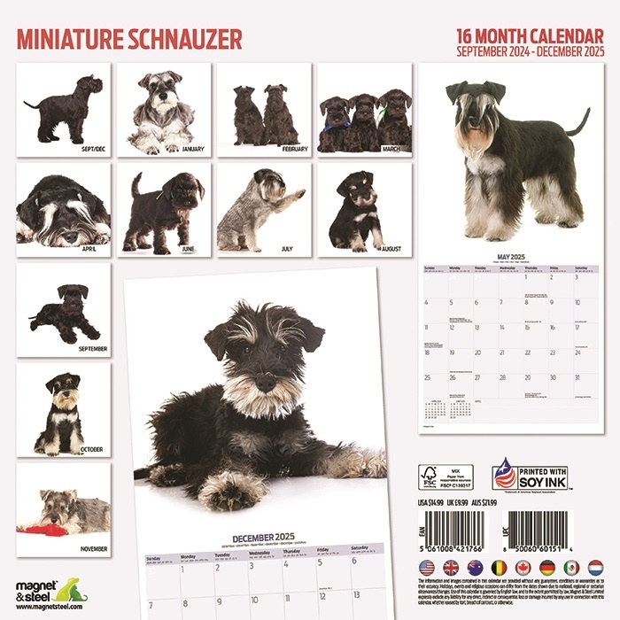 Buy Miniature Schnauzer Calendar 2025 Order easily online