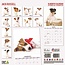 Jack Russell Terrier Kalender 2025 Modern