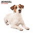 Jack Russell Terrier Calendar 2025 Modern