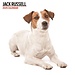 Magnet & Steel Jack Russell Terrier Calendar 2025 Modern