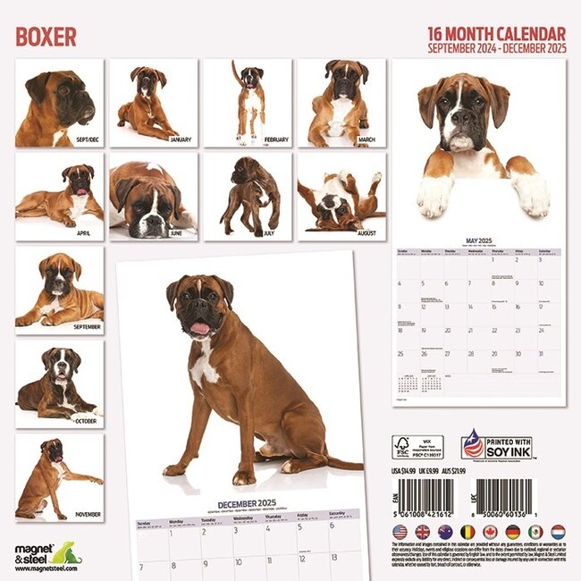 Boxer Kalender 2025 Kopen? Bestel eenvoudig Online - Kalenderwinkel.nl
