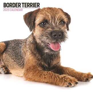Magnet & Steel Border Terrier Calendar 2025 Modern