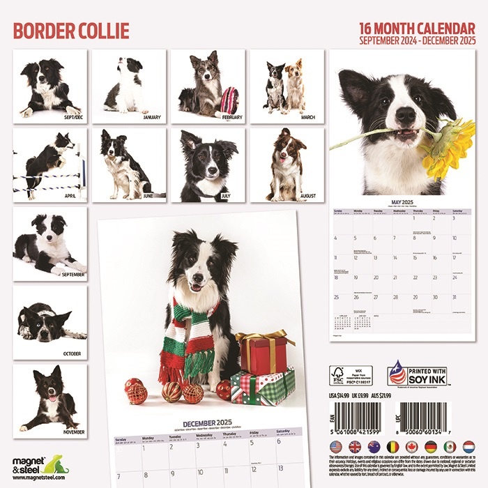 Calendrier Border Collie 2025 Acheter Commander facilement en ligne