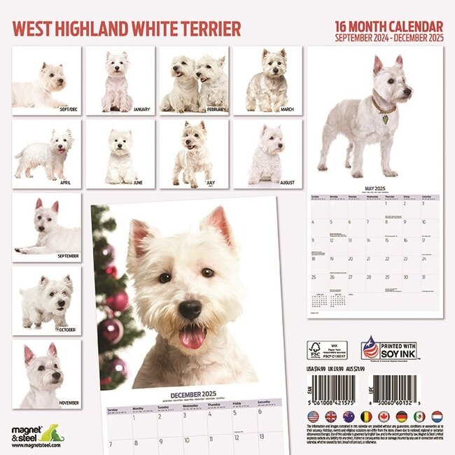 West Highland White Terrier Kalender 2025 Kopen? Bestel eenvoudig Kalenderwinkel.nl