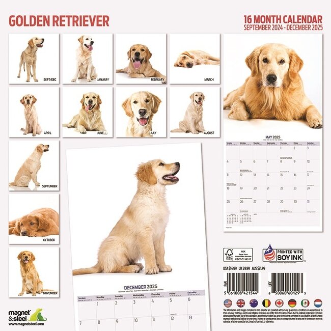 Acheter Golden Retriever Calendar 2025 Modern ? Commandez facilement en