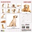 Calendario Golden Retriever 2025 Moderno