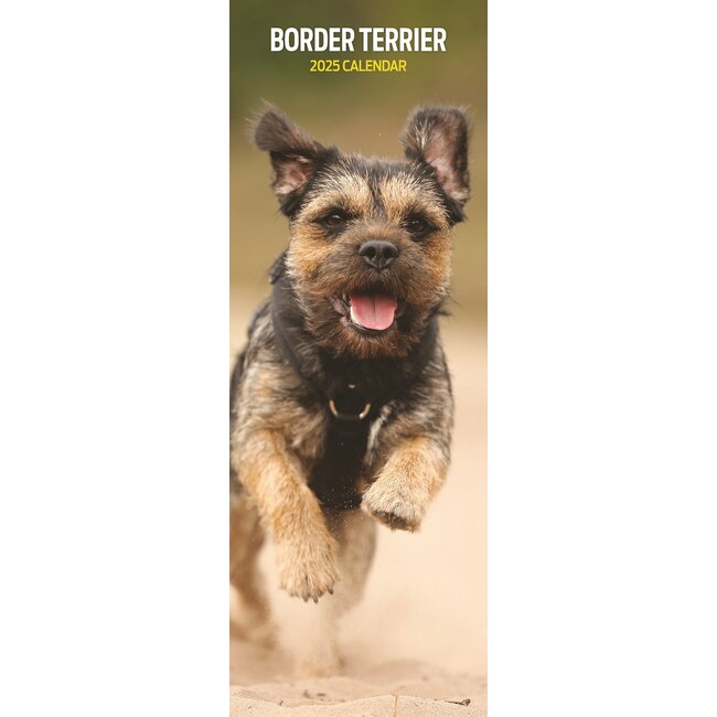 Buying Border Terrier Calendar 2025 Slimline? Order easily online