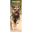 Calendrier Border Terrier 2025 Slimline