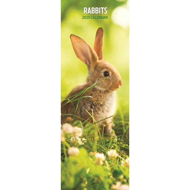 Rabbits Calendar 2025 Slimline