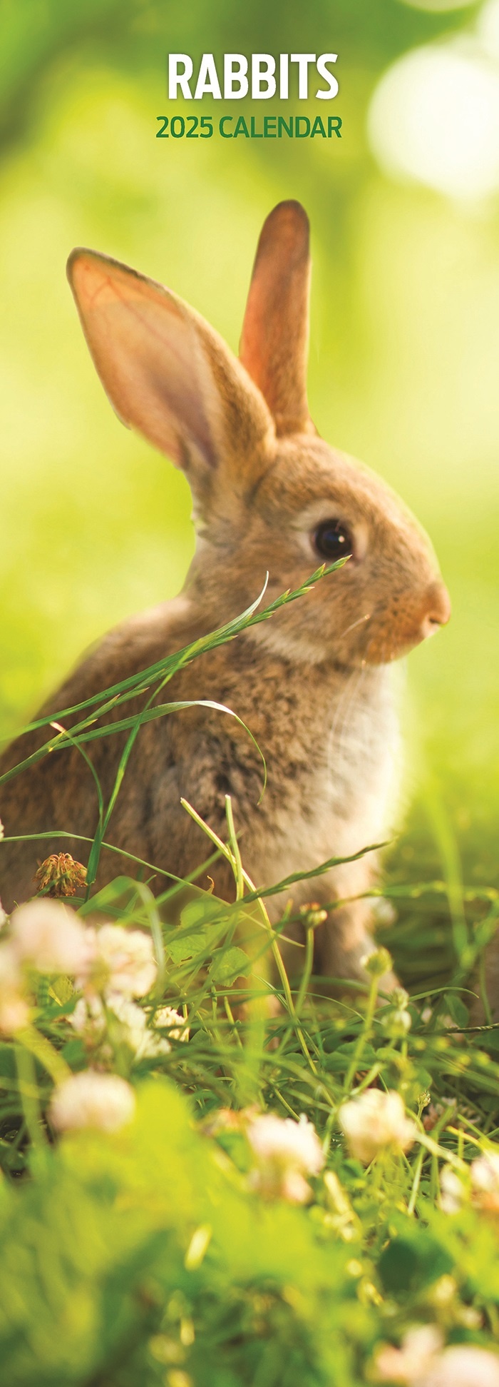 Buy Rabbits Calendar 2025 Slimline Order easily online