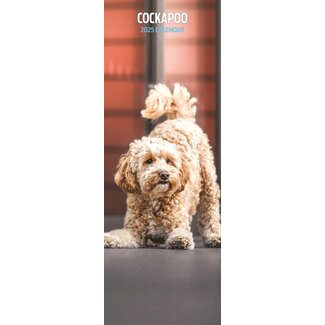 Magnet & Steel Calendario Cockapoo 2025 Slimline