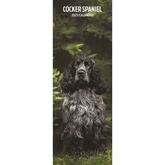 Magnet & Steel Calendario Cocker Spaniel Inglés 2025 Slimline
