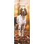 English Springer Spaniel Calendar 2025 Slimline