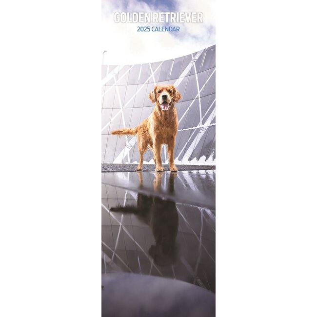 Calendario Golden Retriever 2025 Slimline