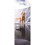 Magnet & Steel Calendario Golden Retriever 2025 Slimline