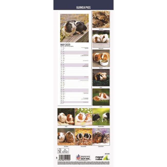Buy guinea pig calendar 2025 Slimline | Order easily online