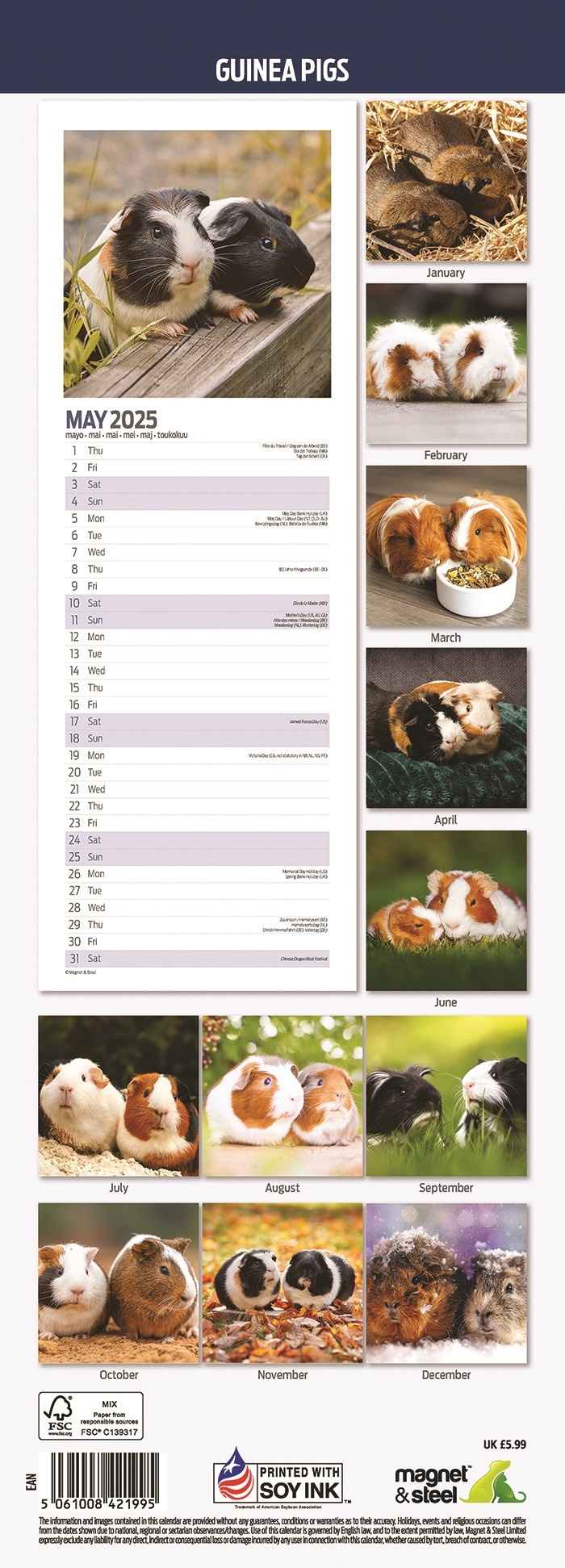 Buy guinea pig calendar 2025 Slimline | Order easily online