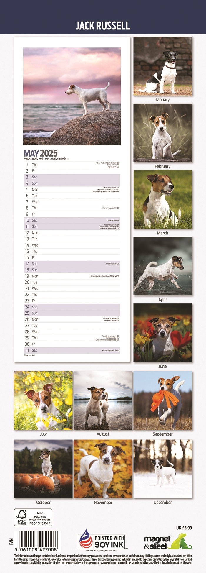 Jack Russell Terrier Calendar 2025 Slimline Buy Order easily online