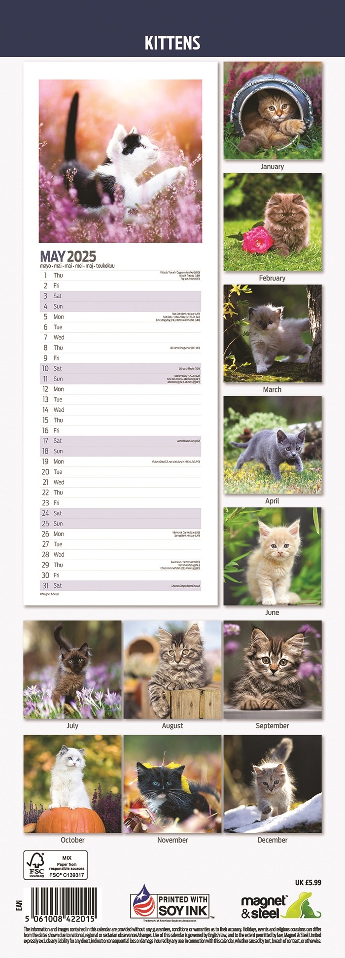 Kittens 2025 Calendar 