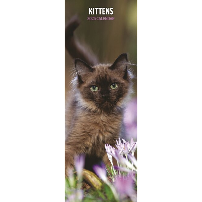 Kittens Calendar 2025 Slimline