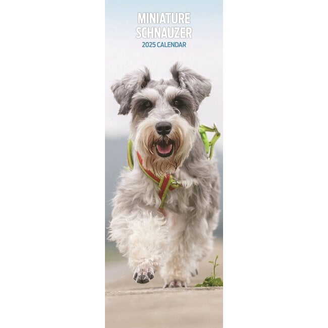 Calendario Schnauzer miniatura 2025 Slimline