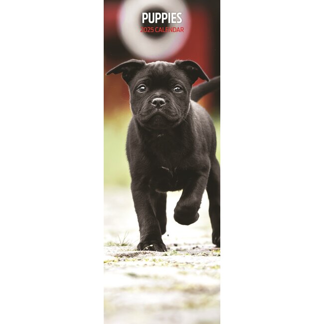 Puppy Calendar 2025 Slimline