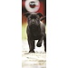 Magnet & Steel Calendrier des chiots 2025 Slimline