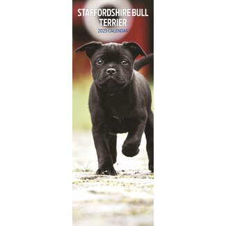 Magnet & Steel Staffordshire Bull Terrier Calendar 2025 Slimline