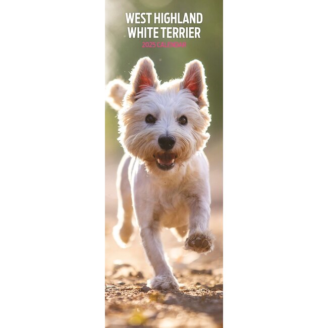 Magnet & Steel West Highland White Terrier Calendario 2025 Slimline