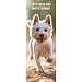 Magnet & Steel Calendario West Highland White Terrier 2025 Slimline