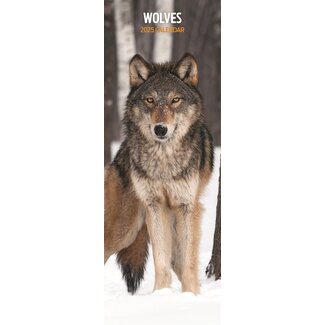 Magnet & Steel Calendario Wolves 2025 Slimline